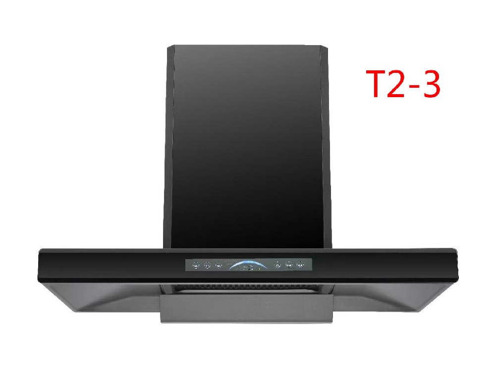 T2-3.jpg