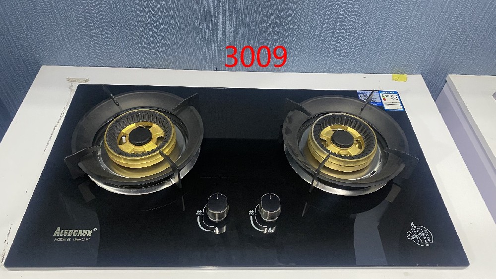 3009.jpg